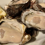 organ（オルガン）