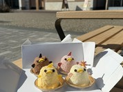 ぴよりんshop  アトリエ店