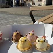 ぴよりんshop  アトリエ店