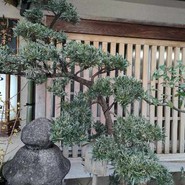なまずや 一宮分店