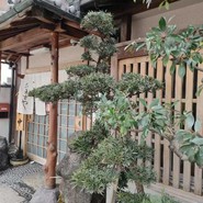 なまずや 一宮分店