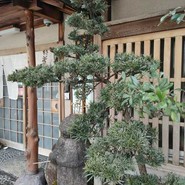 なまずや 一宮分店