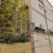なまずや 一宮分店
