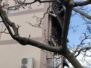 なまずや 一宮分店