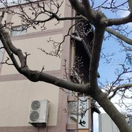 なまずや 一宮分店
