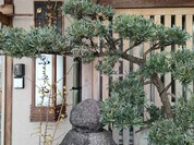 なまずや 一宮分店