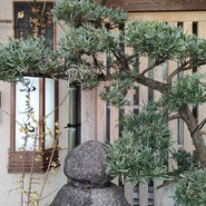 なまずや 一宮分店