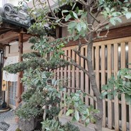 なまずや 一宮分店