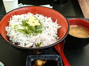釜揚げしらす丼。ご飯もシラスもたっぷりで食べ応えあります。