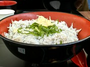 釜揚げしらす丼。東名高速グルメ。