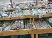 笠岡ベイファーム
