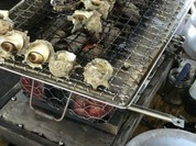 鎮西町国民宿舎 波戸岬