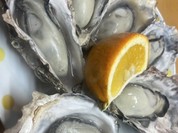 鎮西町国民宿舎 波戸岬