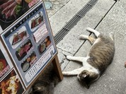 山本鮮魚店