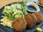 肉菜処 かえる屋