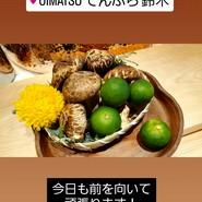 OIMATSU　てんぷら　鈴木