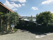 きた山