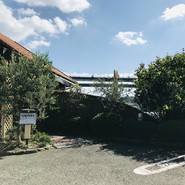 きた山