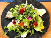 アグリスケープ （AGRISCAPE）