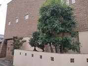 桔梗苑 別館