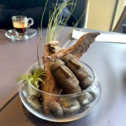 プレゼンテ スギ（PRESENTE Sugi）