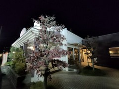 オムライス専門店 エグロン