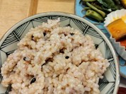 クラテラスたつの