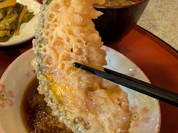高尾
