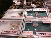 島田水産