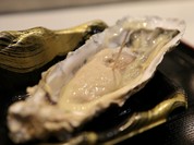 島田水産