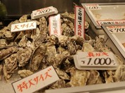 島田水産