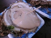 島田水産