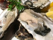 Queen of Fish R25 （クイーン オブ フィッシュ アールニジュウゴ）