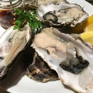 Queen of Fish R25 （クイーン オブ フィッシュ アールニジュウゴ）