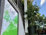カフェ森のベンチ