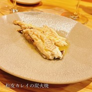 BiXiGARRi
