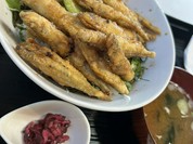 丹沢湖レストハウス