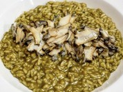 バール チッチャ