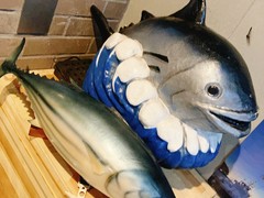かつお食堂