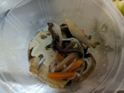 すき家 宇部神原店