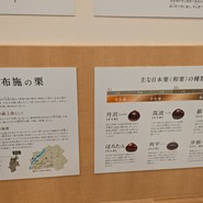 桜井甘精堂  本店