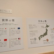 桜井甘精堂  本店