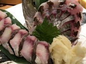 新橋魚金 歌舞伎町店