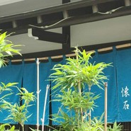 うなぎ　ふぐ　懐石　日比野