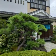 うなぎ　ふぐ　懐石　日比野