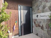 幸 カメリア