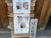 筥崎ぼたん
