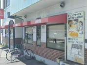 ポインセティア