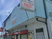 ポインセティア