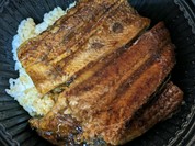 吉野家 山口防府店